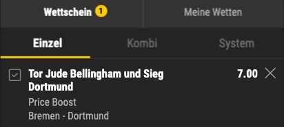Bellingham BVB Sieg + Tor