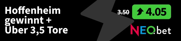 hoffenheim hsv wett tipp