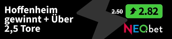 hoffenheim gladbach wett tipp