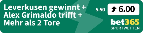 leverkusen werder boost